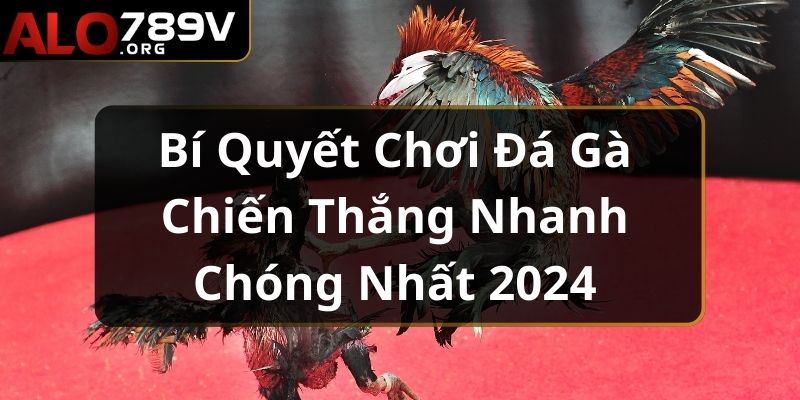 Bí Quyết Chơi Đá Gà Chiến Thắng Nhanh Chóng Nhất 2024