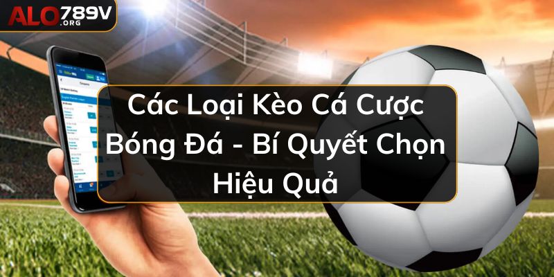 Các loại kèo cá cược bóng đá